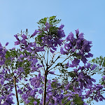 Photo n°14 de l'avis de Andreas.p fait le 18/06/2023 à 14:37 sur le  VOI Marsa Siclà Essentia à Sampieri