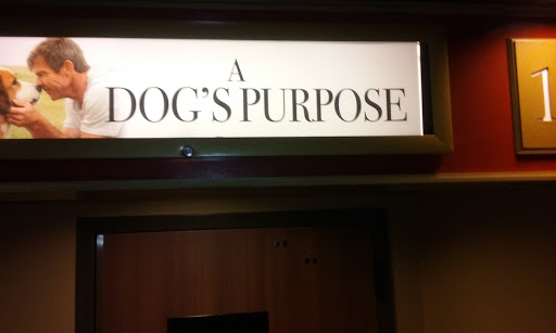 Movie Theater «Cinemark Helena 8 And XD», reviews and photos, 750 Great Northern Blvd, Helena, MT 59601, USA