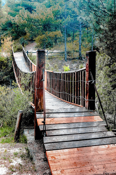 Karabük Kent Ormanı