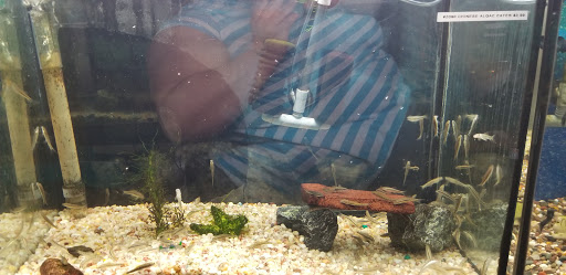 Tropical Fish Store «Two Turtles Pet Center», reviews and photos, 760 W Market St, Akron, OH 44303, USA