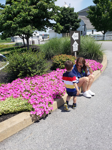 Tourist Attraction «Amish Experience», reviews and photos, 3121 Old Philadelphia Pike, Bird in Hand, PA 17505, USA