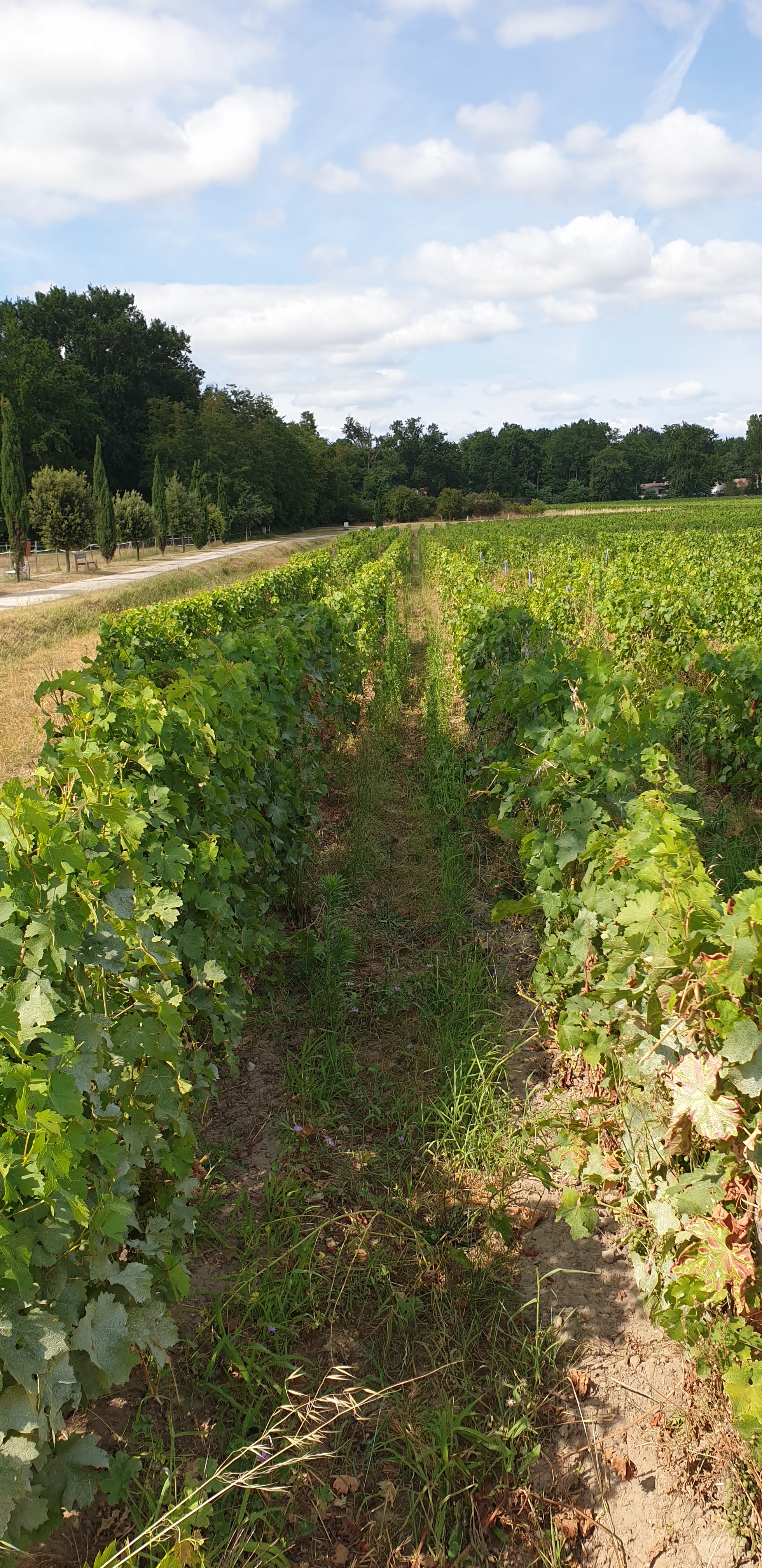 Photo n° 2 de l'avis de Julien.e fait le 23/07/2019 à 19:12