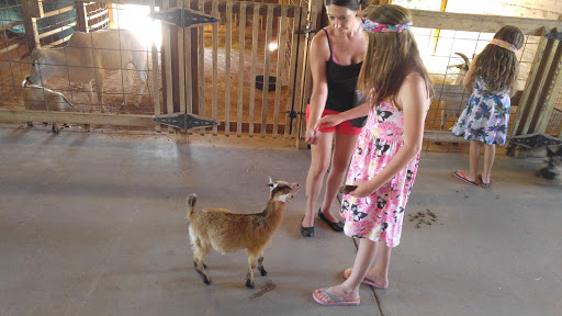 Zoo «ZooWorld Zoological and Botanical Conservatory», reviews and photos, 9008 Front Beach Rd, Panama City Beach, FL 32407, USA