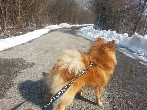 Recreation Center «Worth Park District», reviews and photos, 11500 S Beloit Ave, Worth, IL 60482, USA