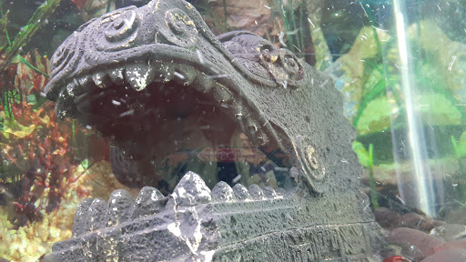 Pet Supply Store «Pet Supplies Plus», reviews and photos, 19295 West Rd, Woodhaven, MI 48183, USA