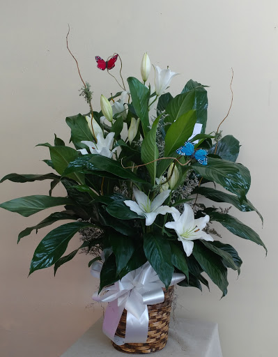 Florist «Just Because Floral Shop», reviews and photos, 614 McCullough Ave, San Antonio, TX 78215, USA