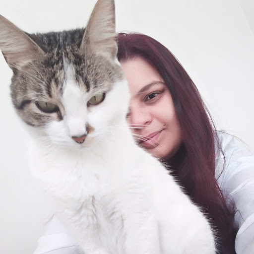 Universo Felino - Veterinária Lídia Meggiolaro - Atendimento especializado em gatos. em São Paulo - SP