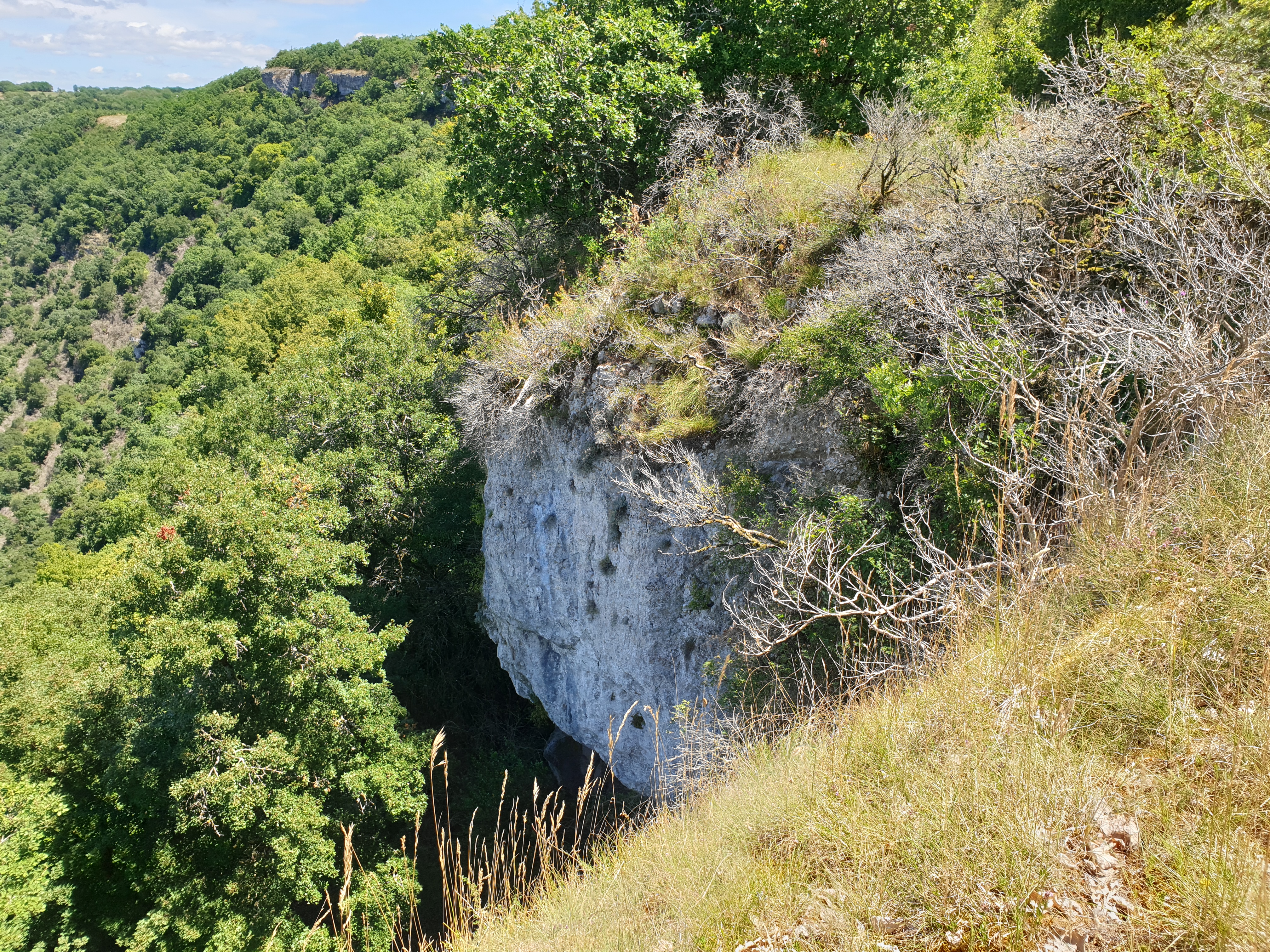 Photo n° 2 de l'avis de Marjan.a fait le 10/07/2020 à 07:31