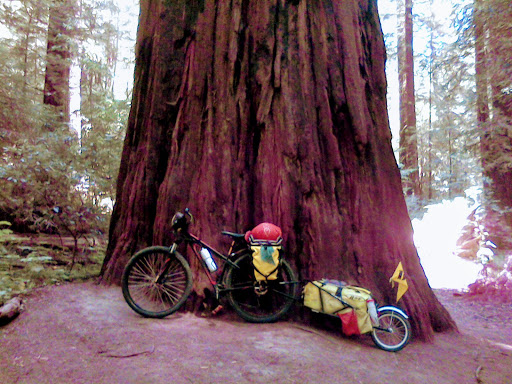 Bicycle Store «Bicycle World», reviews and photos, 1825 E Northern Ave, Kingman, AZ 86409, USA