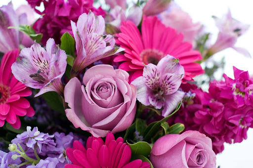 Florist «Cactus Flowers», reviews and photos, 2040 S Alma School Rd, Chandler, AZ 85286, USA