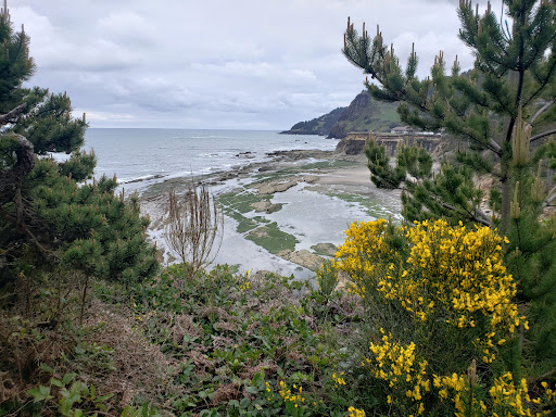 Winery «Flying Dutchman Winery», reviews and photos, 915 1st St, Otter Rock, OR 97369, USA