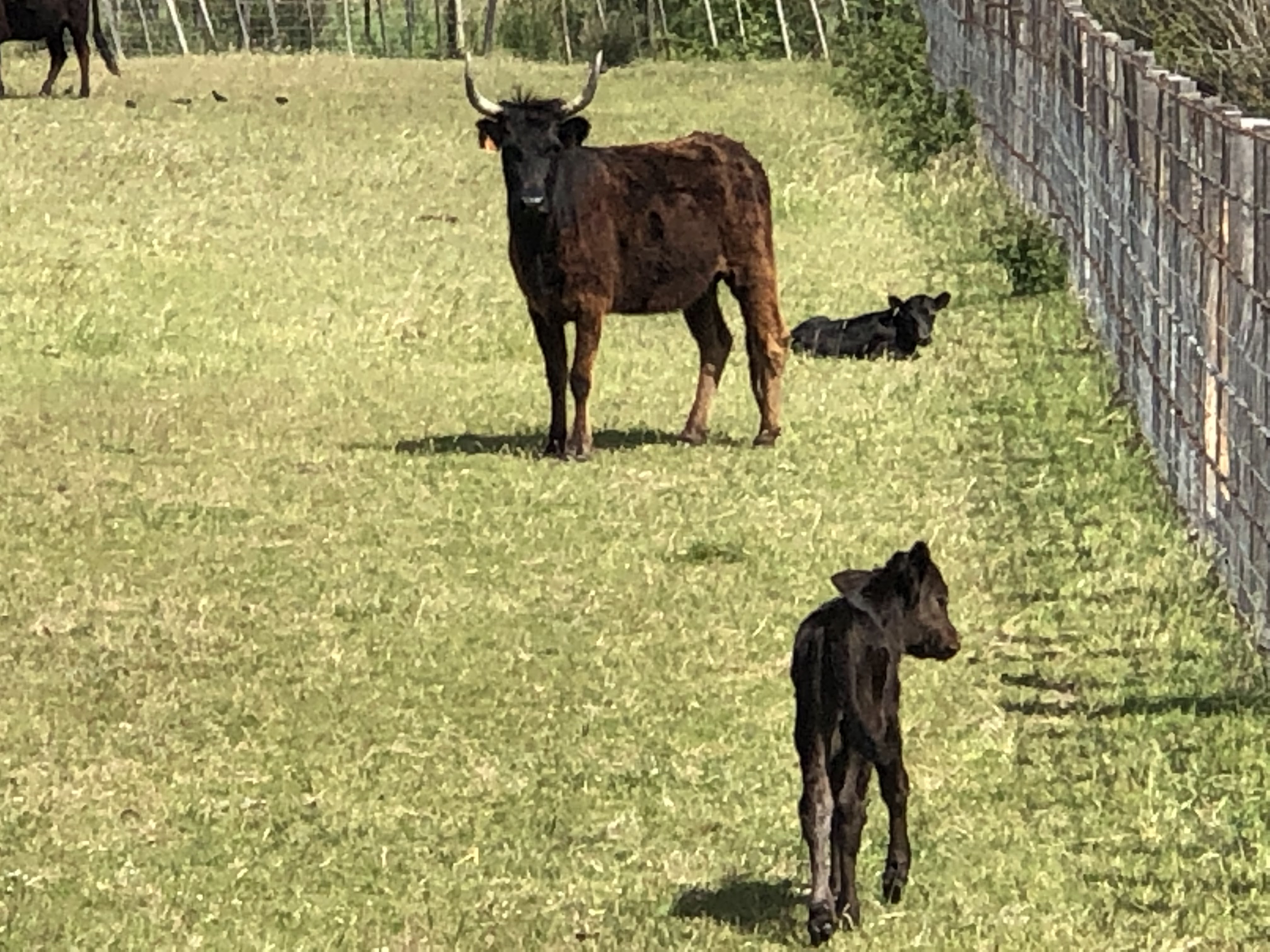 Photo n° 6 de l'avis de Christophe.e fait le 30/04/2019 à 17:51