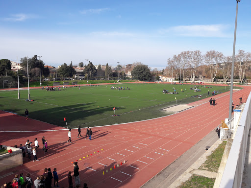 Rugby clubs Marseille