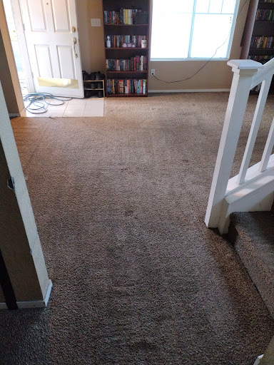 TLC Carpet-Green Cleaning
