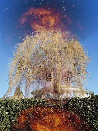 Photo Villa Villa ronde 1030 Bussigny