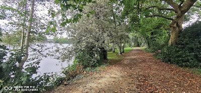 jardins partagés à Rosporden