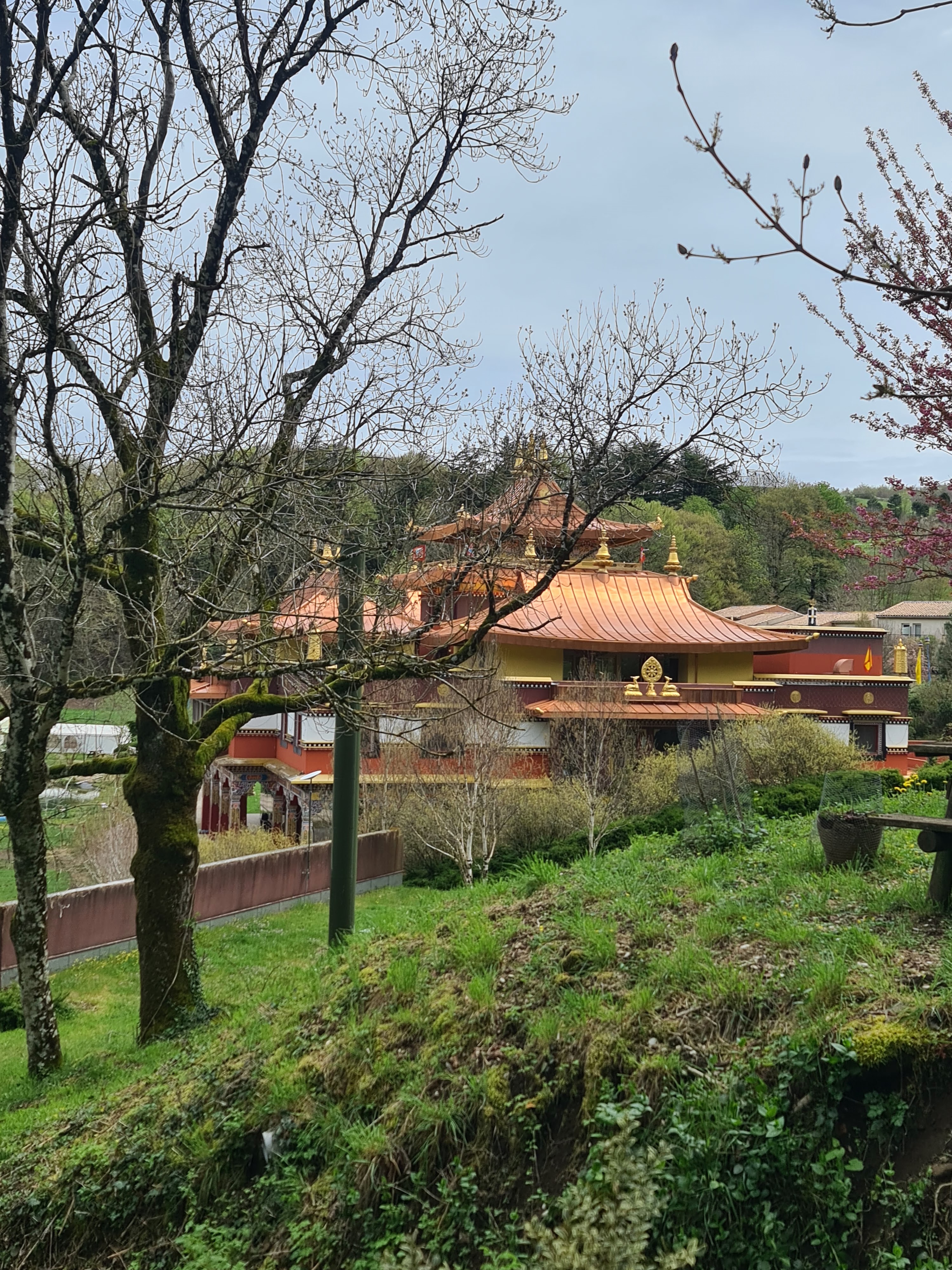 Photo n° 1 de l'avis de francine.e fait le 23/04/2023 à 17:14