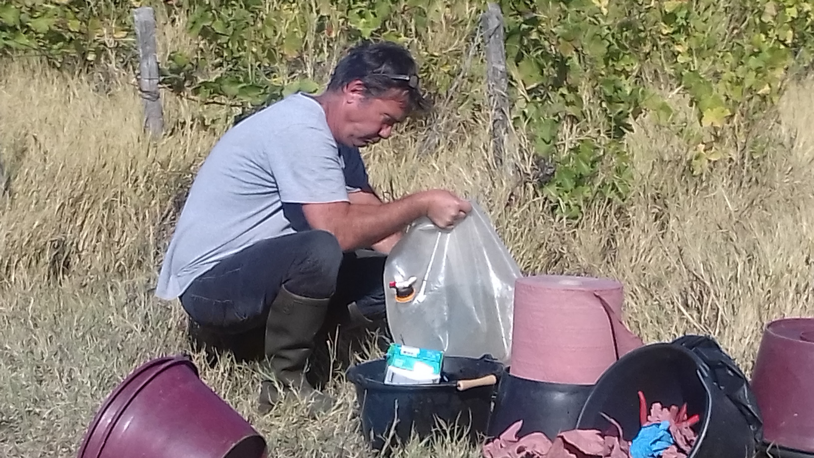 Photo n° 1 de l'avis de Barbara.A fait le 29/09/2018 à 15:24