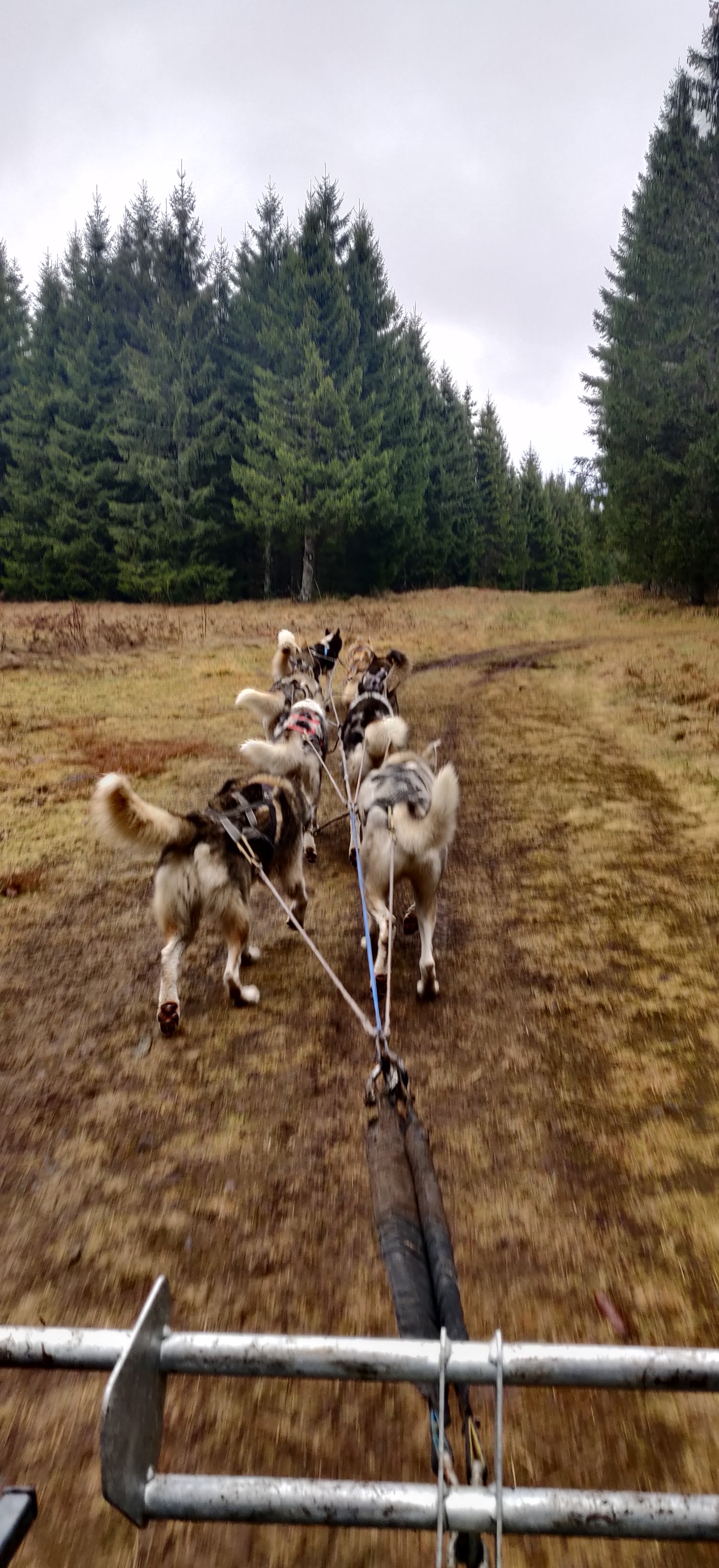 Photo n° 2 de l'avis de Laurie.t fait le 01/01/2024 à 15:43