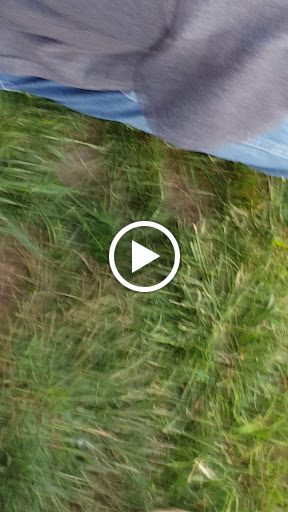 Live Music Venue «Hollywood Casino Amphitheatre - St. Louis», reviews and photos, 14141 Riverport Dr, Maryland Heights, MO 63043, USA