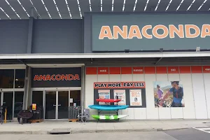 Anaconda Narre Warren image