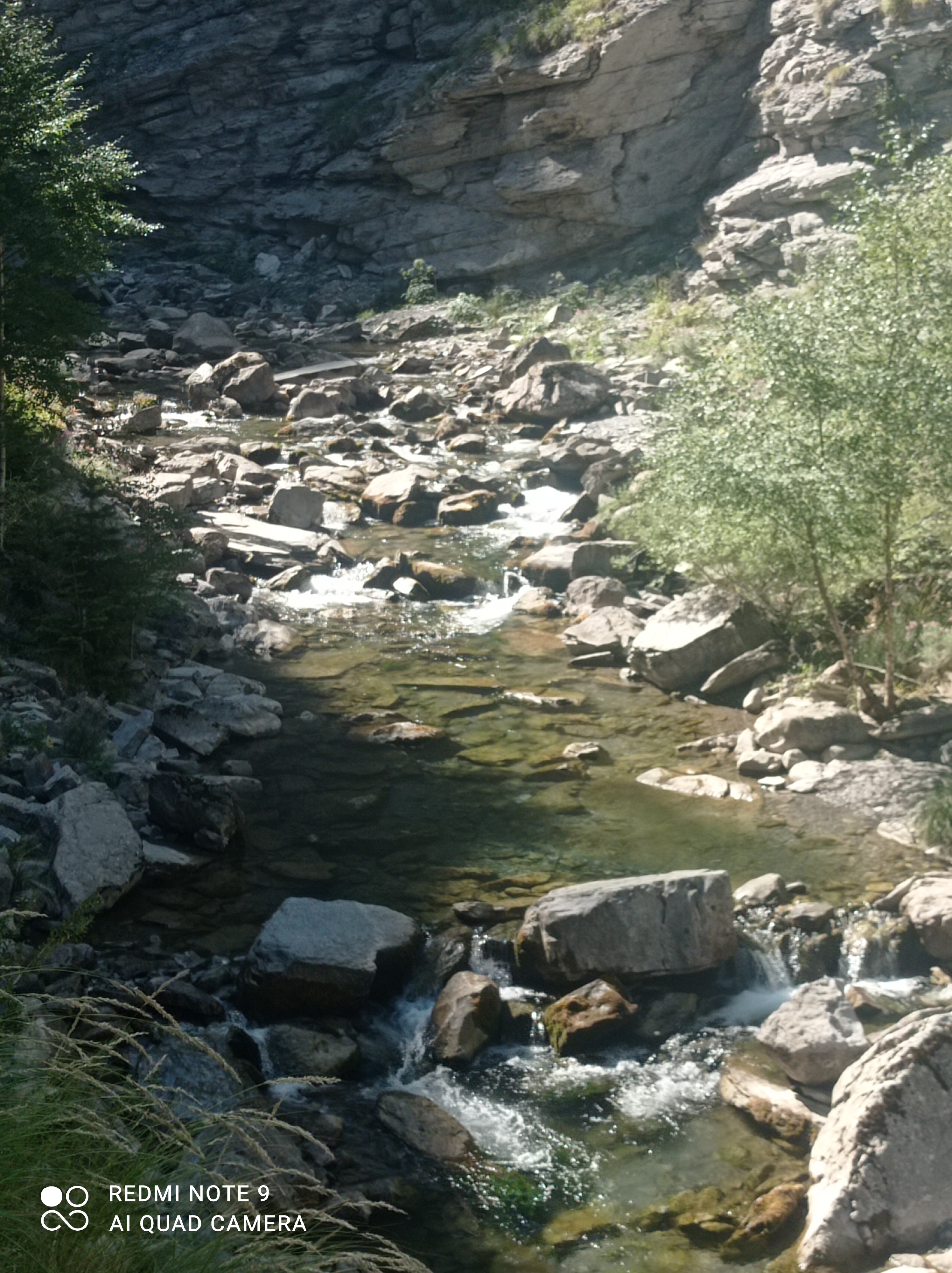 Photo n° 2 de l'avis de myriam.e fait le 25/08/2023 à 16:55