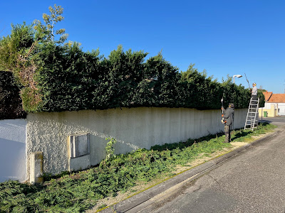 Domi Jardins à Pessac