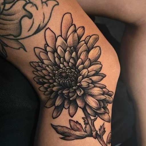 Explore tattoo sleeve drawing ideas, creative tattoo ideas in Ocala, available at The Tattoo Gallery of Ocala LLC