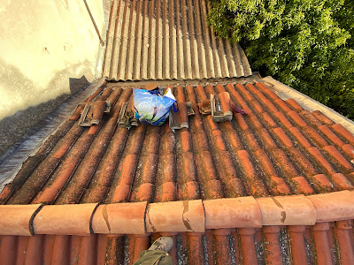 Vincent à Cuers