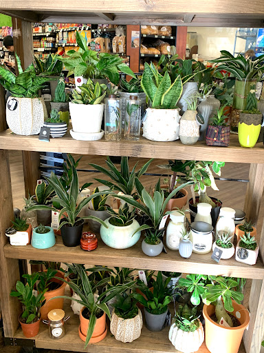 Health Food Store «Good Earth Natural Foods Co», reviews and photos, 500 State St, Orem, UT 84058, USA