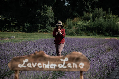 Lavender Lane Farm