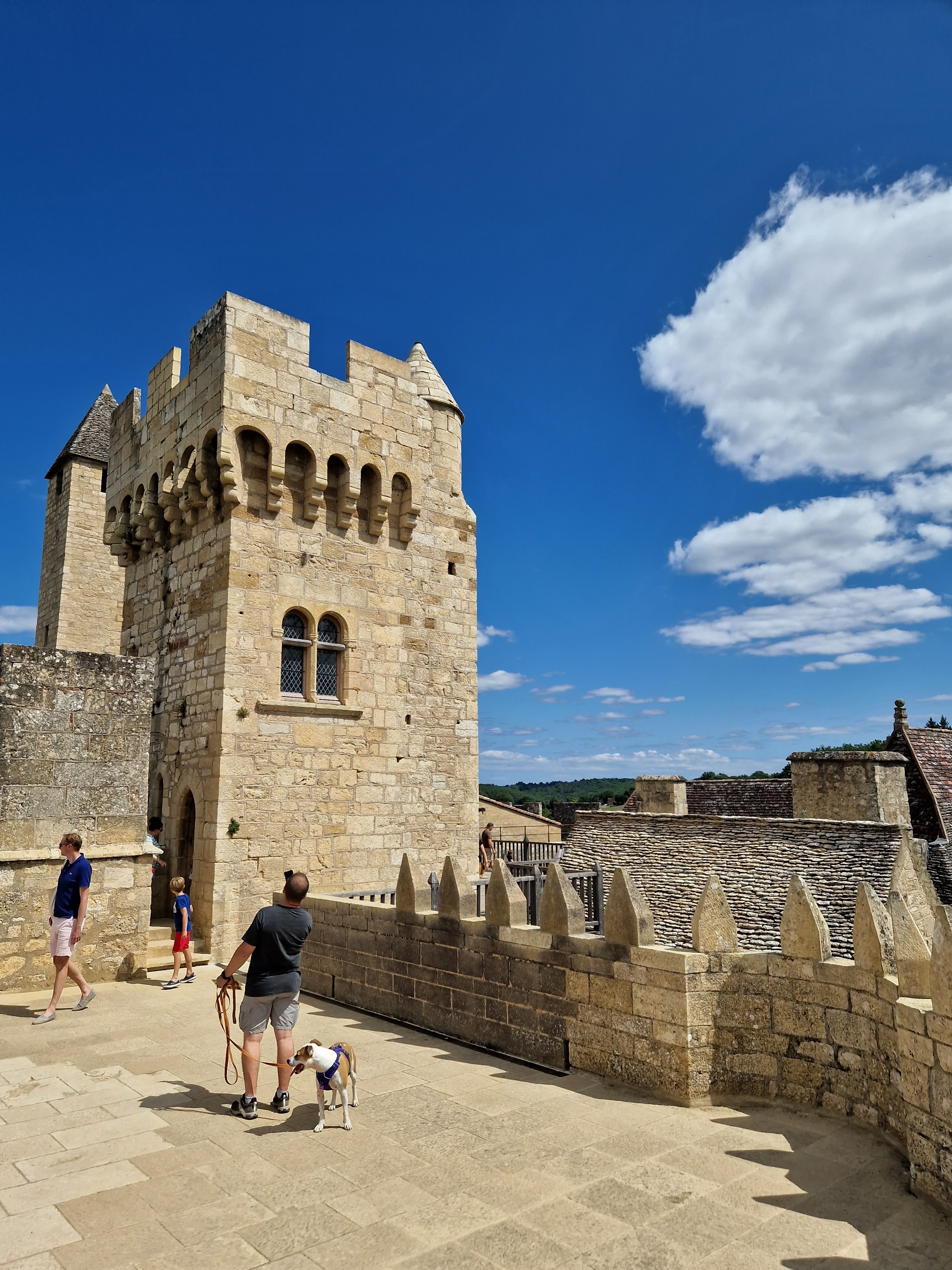 Photo n° 4 de l'avis de Ramon.e fait le 22/08/2023 à 22:41