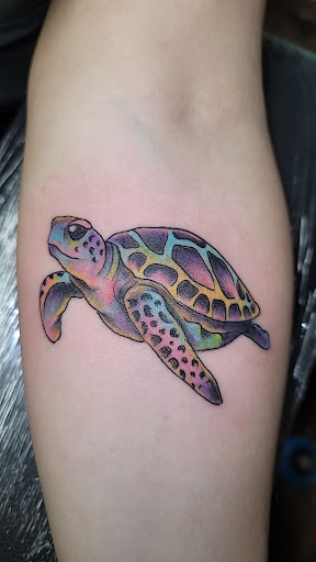 Explore seagull tattoo ideas, creative tattoo ideas in Lawrenceburg, available at Yellow Rose Tattoo