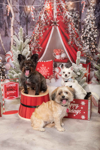 Pet Supply Store «EarthWise Pet Supply», reviews and photos, 7316 Yankee Rd, Liberty Township, OH 45044, USA