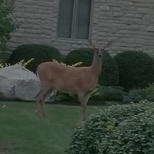 Golf Club «Safari Golf Club», reviews and photos, 4850 W Powell Rd, Powell, OH 43065, USA