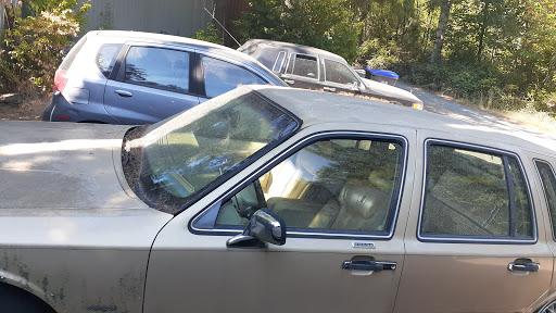 Gift Shop «Cove Crystal Shop», reviews and photos, 510 SE Old Arcadia Rd, Shelton, WA 98584, USA