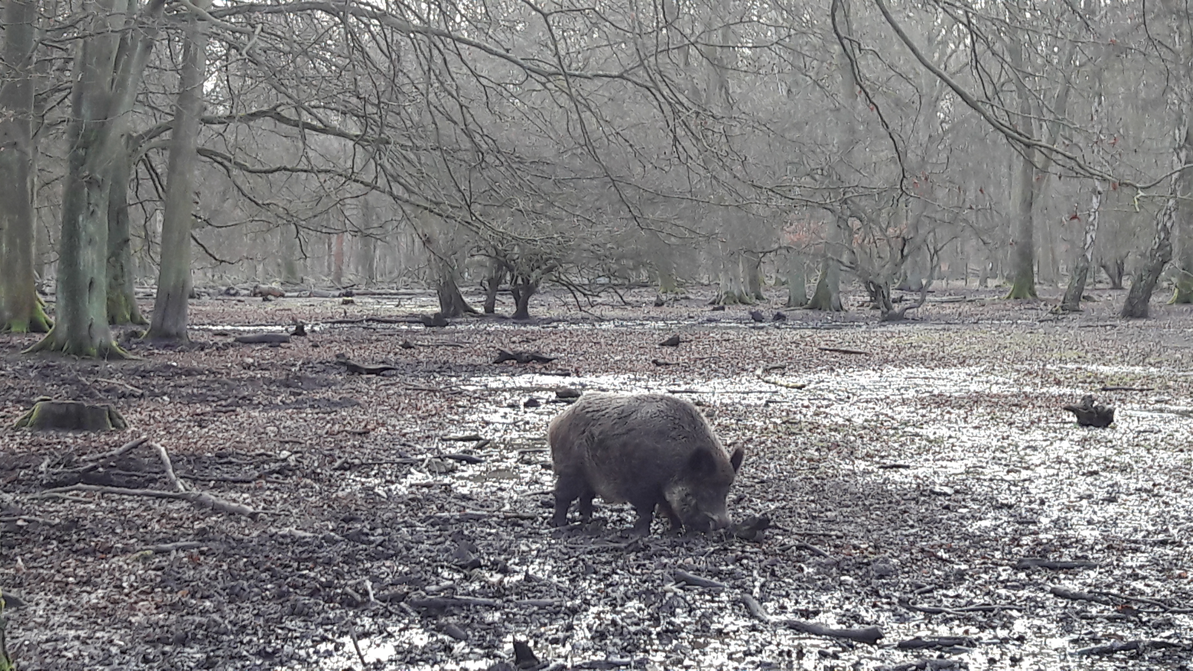 Photo n° 2 de l'avis de Cathy.A fait le 13/02/2019 à 08:02