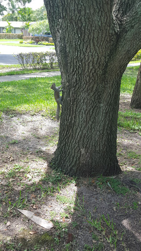 Park «Zinkil Park», reviews and photos, 5451 Washington St, Hollywood, FL 33021, USA