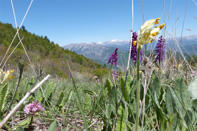 Photos des visiteurs Gîte Gîte Alpes-de-Haute-Provence, Toge 04380 Hautes-Duyes