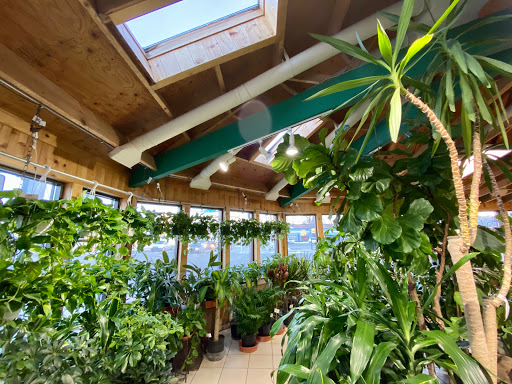 Florist «Country Greenery», reviews and photos, 17 5th St S, Moorhead, MN 56560, USA