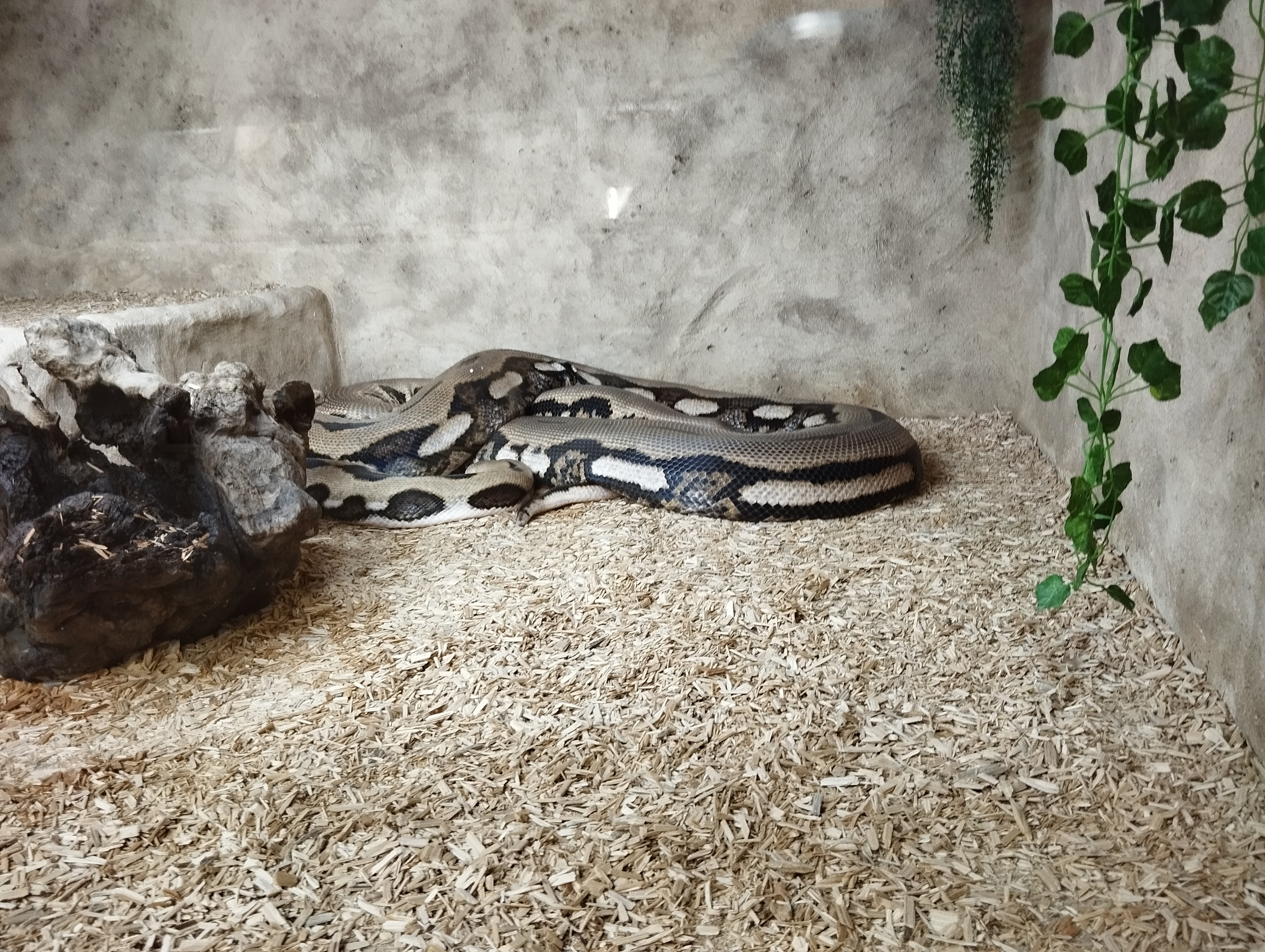 Photo n° 4 de l'avis de Seb.e fait le 17/07/2023 à 19:09