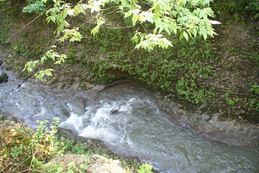 Nature Preserve «Caesar Creek Gorge State Nature Preserve», reviews and photos, 4080 Corwin Rd, Oregonia, OH 45054, USA