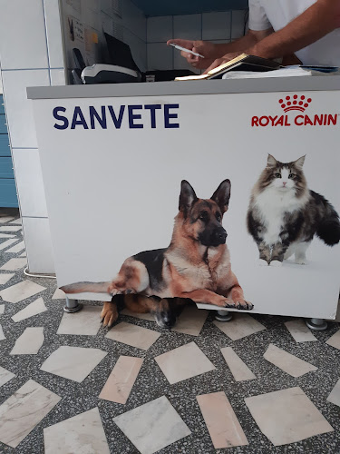 San Vete - Veterinar