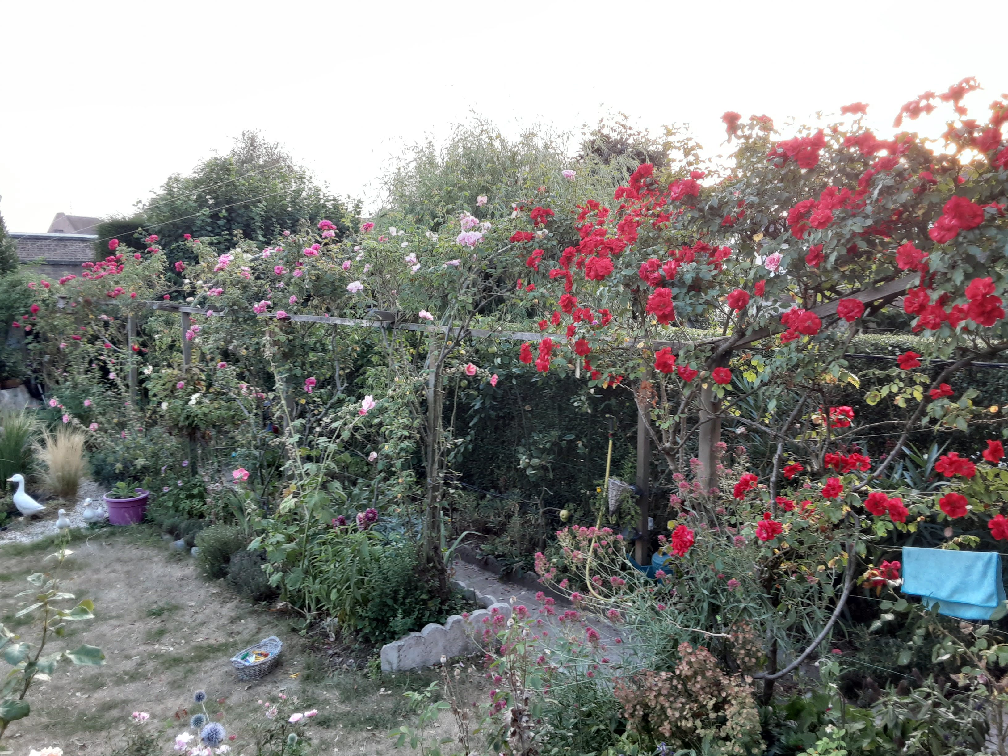 Photo n° 1 de l'avis de Jean.l fait le 11/06/2021 à 15:56