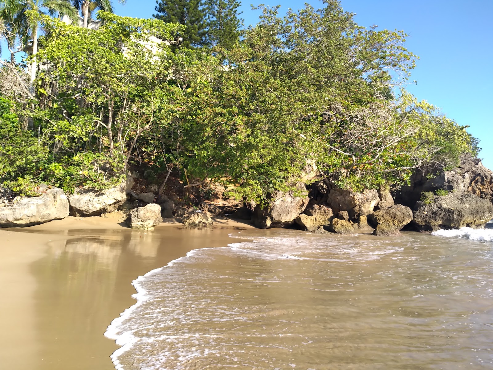 Playa Puerto chiquito的照片 带有碧绿色纯水表面