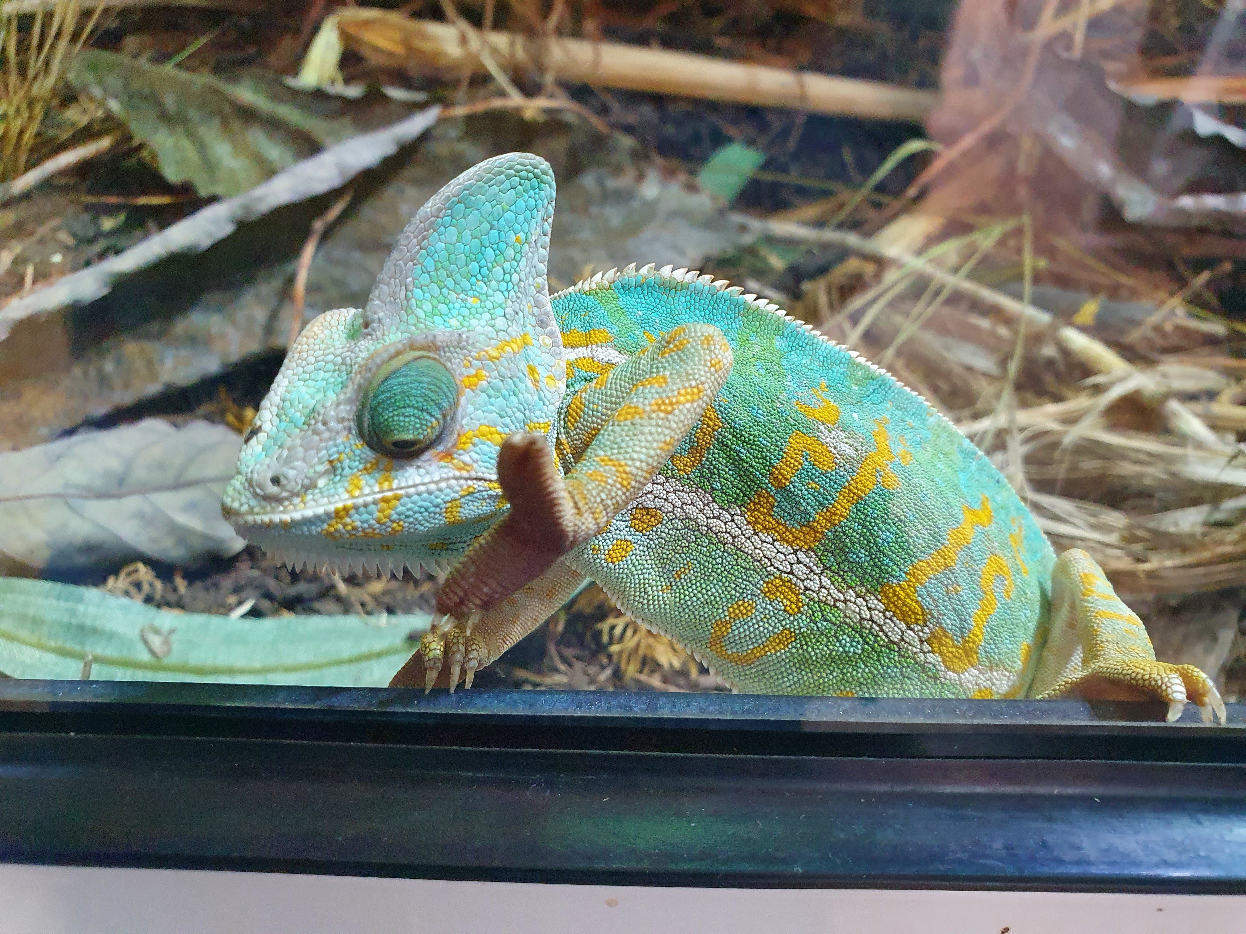 Photo n° 1 de l'avis de Alc. fait le 14/05/2022 à 10:09