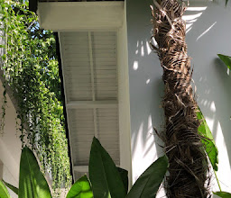 Villa Jaya photo