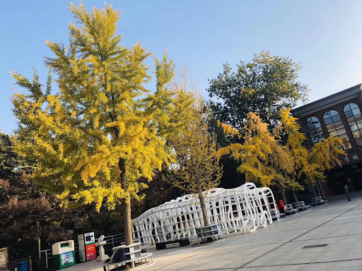 Experimental High School Attached to Beijing Normal University