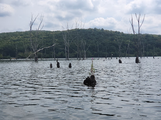 Tourist Attraction «Monksville reservoir», reviews and photos, 111 Beech Rd, Hewitt, NJ 07421, USA