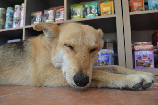 Centro Veterinario Montañana en Zaragoza